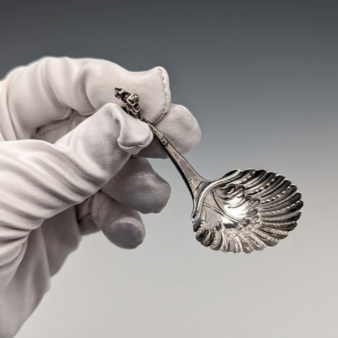 約 1890 年瑞士古董純銀茶盒湯匙貝殼和天使裝飾